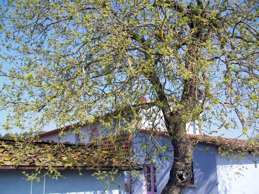 Casa Fontanino Acomodação com café da manhã Altopascio Exterior foto